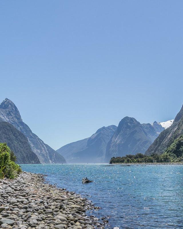 Milford Sound in Fiordland National Park 18