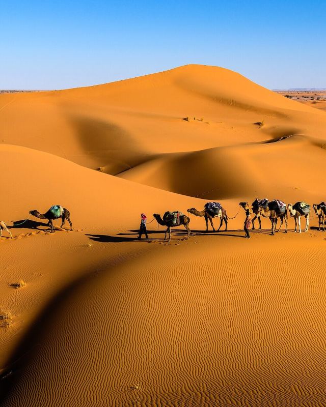Caravan in the desert