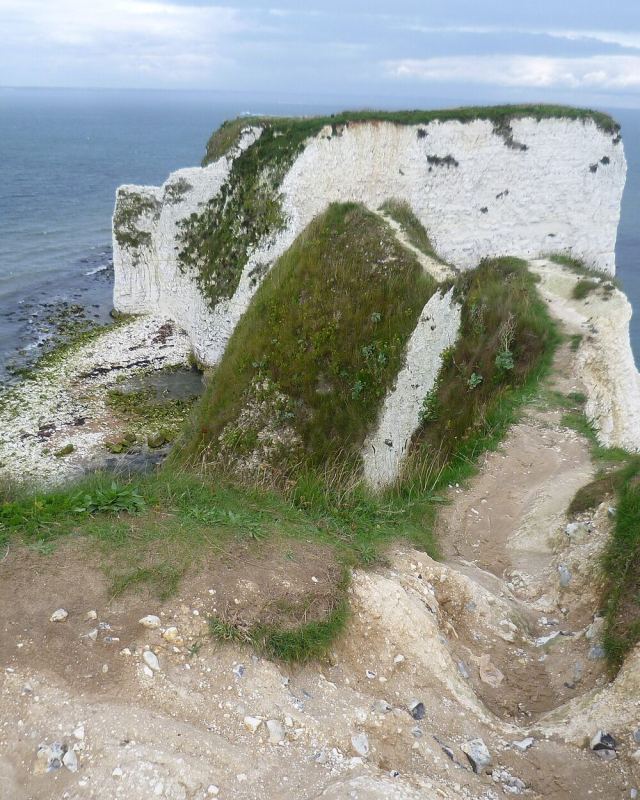 Old Harry Rocks - geograph.org.uk - 4683163
