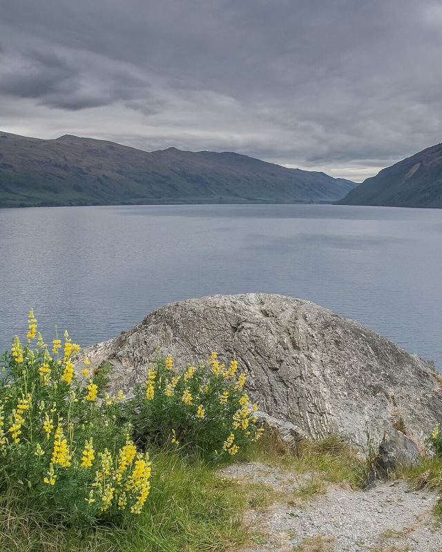 Lake Wakatipu 06