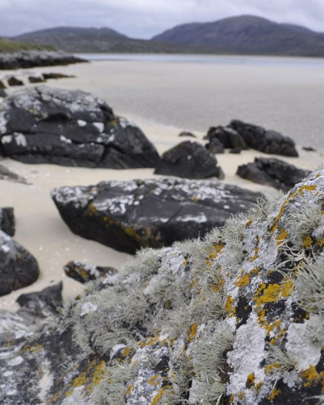 Luskentyre Beach-Tràigh Losgaintir - geograph.org.uk - 3677134