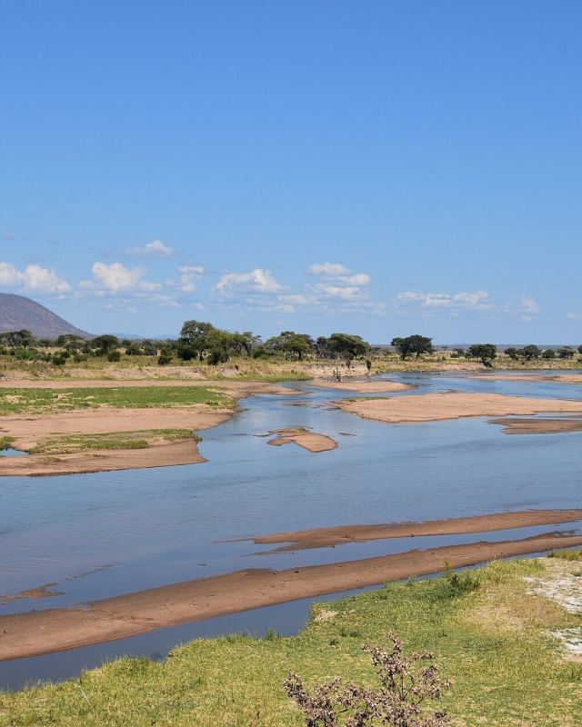 Ruaha River, Ruaha National Park (9) (29028717505)